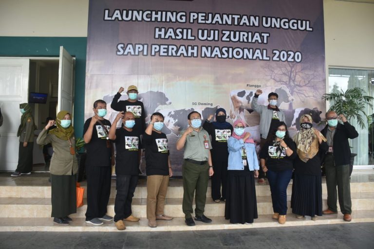 Kementan Tingkatkan Mutu Genetik Sapi Perah Lewat Uji Zuriat