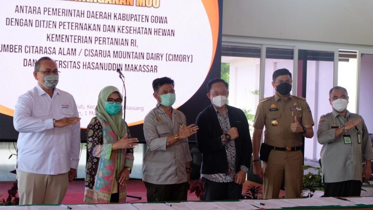 Kementan Upayakan Peningkatan Produksi Susu Sapi Segar