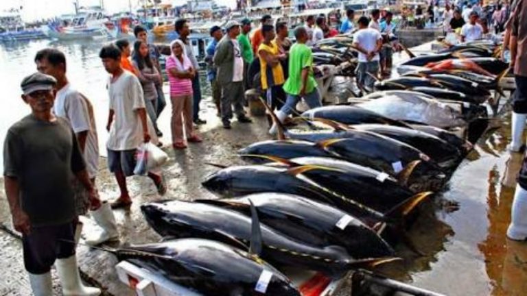 Pembicaraan Luhut dengan Jokowi Terkait Lumbung Ikan di Maluku