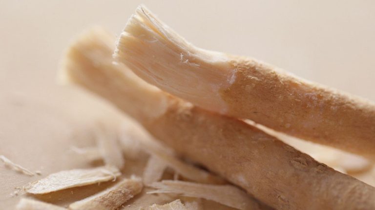 Siwak, Sunnah Rasulullah Yang Mulai Ditinggalkan Generasi Millenial