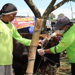 2A9C0466-D9A3-452C-BB32-CB7C6BFAA093