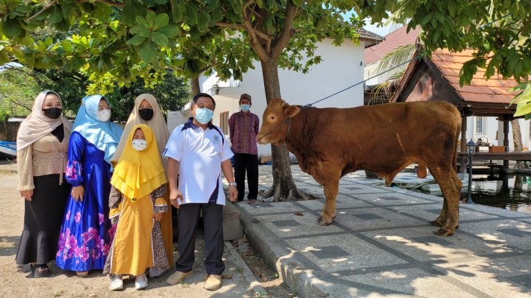 Politisi Demokrat Belikan 4 Sapi untuk Keluarga Terdampak Covid-19
