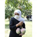 1EFE7D18-3C8E-4A95-A0A7-0A88733494C6