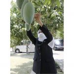 228189A2-3175-4668-858B-2F181A6008A7