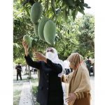 B63574E9-9B01-4337-BE86-983895D4B46A