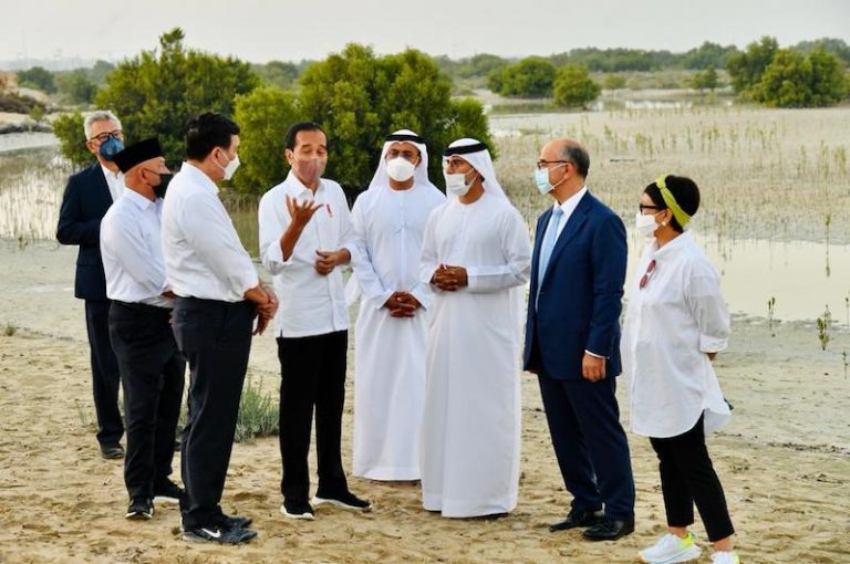 Presiden Jokowi dan Sejumlah Menteri Tanam Mangrove di Abu Dhabi