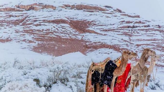 Pegunungan Arab Saudi Diselimuti Salju