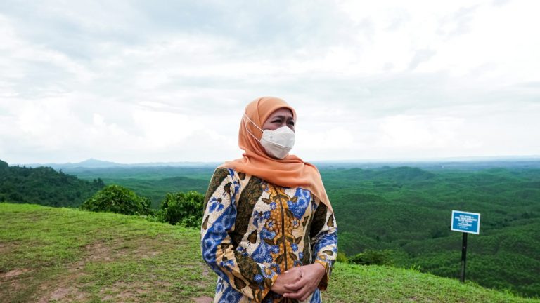 Tinjau IKN Baru, Gubernur Khofifah Usulkan Lokasi Strategis Kantor Badan  Perwakilan  Daerah