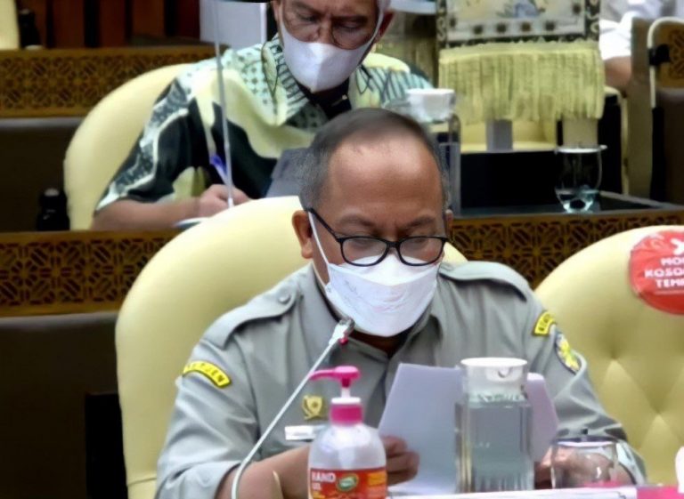 Kementan Beberkan Kendala Kelangkaan Pupuk Subsidi