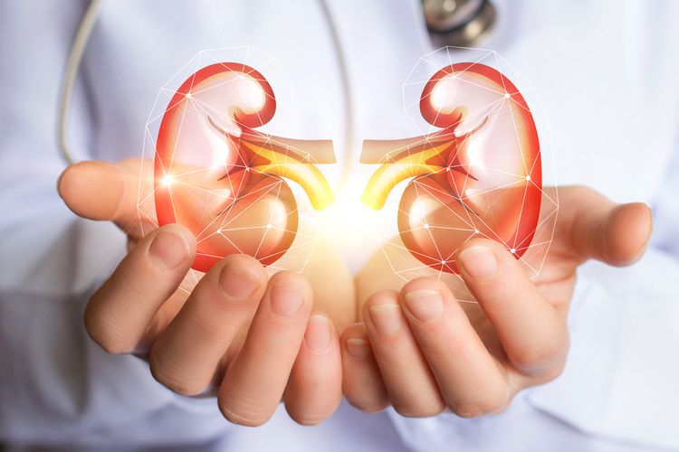 Hari Ginjal Sedunia 2022: Kesehatan Ginjal untuk Semua