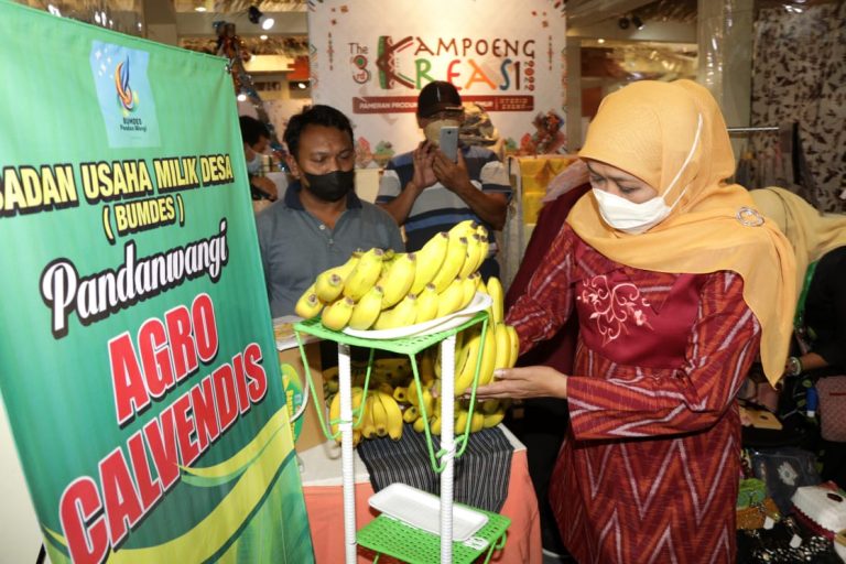 Perkuat Ekonomi Pedesaan, Pemprov Jatim  Gelar Kampoeng Kreasi