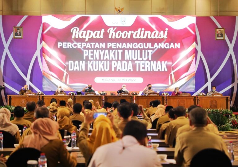 Jelang Idul Adha, Gubernur Khofifah Pastikan Ketersediaan Hewan Kurban Aman