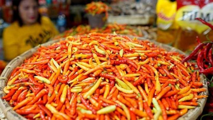 ilustrasi cabai rawit