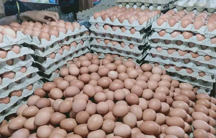 Harga Telur Ayam Capai Rp30 Ribu per Kg, Peternak Ungkap Penyebabnya