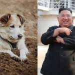 Korut Krisis Pangan, Orang Kaya Makan Sup Anjing