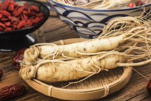 Sejarah Tanaman Gingseng Jawa