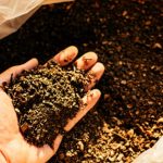 ilustrasi pupuk organik