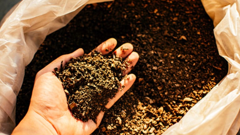 ilustrasi pupuk organik