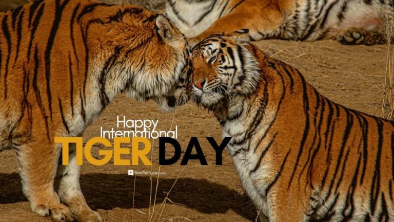 29 Juli: Hari Harimau Sedunia, Simak Sejarah dan Tujuannya