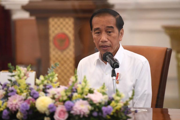Presiden Jokowi Cabut 16 Izin Perkebunan Sawit di Papua Barat