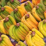 Para Ilmuan Sebut Makan Pisang yang Sedikit Hijau Bisa Bantu Cegah Kanker