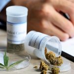 MK Tolak Permohonan Uji Materi Penggunaan Ganja Medis untuk Kesehatan