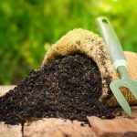 Dosen UNS Modifikasi Pupuk Pertanian dengan Zeolit Alam untuk Suburkan Tanah