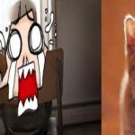 KPAI Minta Polisi Tangani Kasus Tewasnya Bocah Dipaksa Setubuhi Kucing.