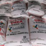 ilustrasi pupuk