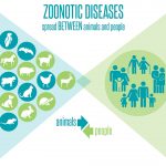 6 Juli: Hari Zoonosis Sedunia