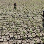 BMKG: Ada 6 Wilayah di NTT yang Terancam Kekeringan