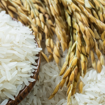 ilustrasi beras, salah satu komoditas cadangan pangan