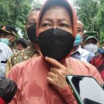 Menteri Sosial (Mensos) Tri Rismaharini