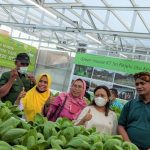 Agatha Retnosari saat berada di Green House Urban Farming Kelompok Tani Sri Rejeki Jitu yang berlokasi di Kelurahan Kedurus, Kecamatan Karangpilang, Surabaya (19/08/22)