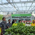 Anggota Komisi B Agatha Retnosari Resmikan Green House Urban Farming Kelompok Tani Sri Rejeki Jitu
