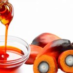 Menkop UKM: Pabrik Minyak Makan Merah akan Dibangun Oktober 2022