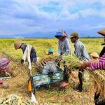 ilustrasi kelompok tani