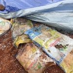 Viral Temuan Bansos Jokowi yang Terkubur di Lahan Kosong.