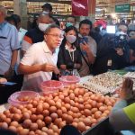 Harga Telur Naik Tinggi, Simak Fakta Hingga Penyebabnya