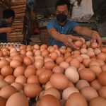 Jika Harga Telur tak Turun, Badan Pangan Nasional Gelar Operasi Pasar