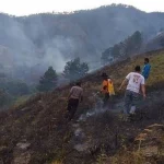 Kebakaran Hutan dan Lahan Terjadi di Samosir