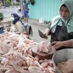 ilustrasi pedagang ayam potong