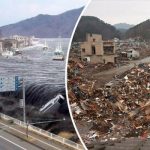 Mengenal Gempa Bumi dan Tsunami, Penyebab serta Cara Menghadapinya
