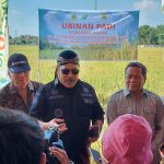 Pupuk Organik Cair SMPN dari Limbah Jamu Mampu Naikkan Produksi Padi