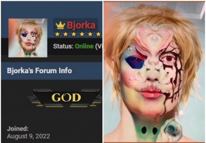 Siapakah Hacker Bjorka yang Bocorkan Data Menkominfo dan Retas Data BIN?