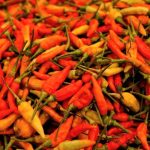 NFA Kembangkan Program Teknologi Perpanjang Masa Simpan Produk Pangan