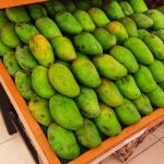 Siap Ekspor, Peneliti dan Kementan Pastikan Buah Mangga Indonesia Aman dari Lalat Buah