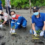 Cegah Abrasi, Pertamina Tanam 10 Ribu Mangrove di Sorong