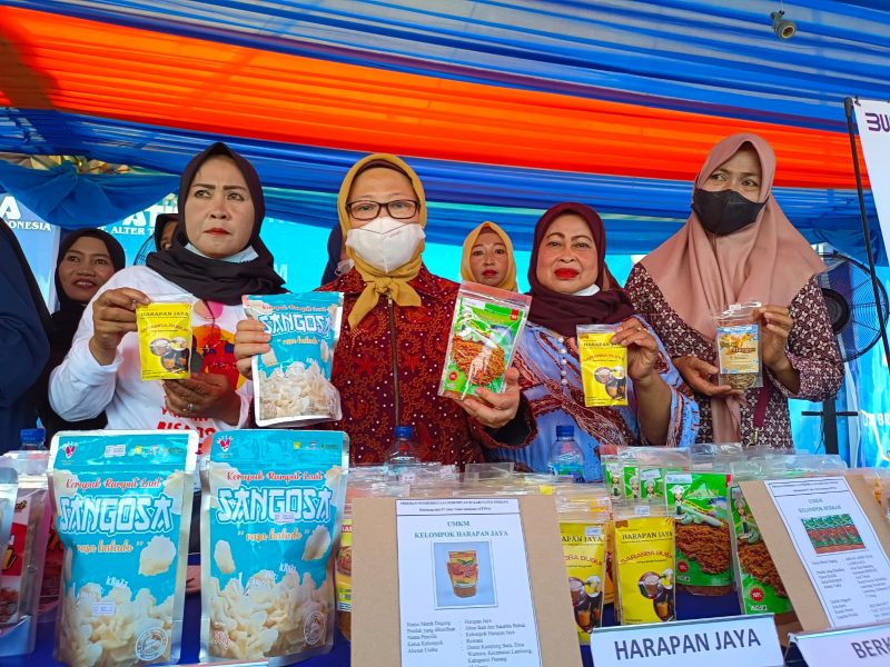 ilustrasi produk UMKM Perikanan