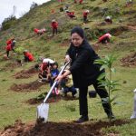 Puan melakukan penanaman pohon mangga di Kawasan Wisata Gantole, Huta Ginjang Kecamatan Muara.